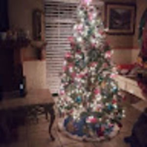 Meet your Posher, Eva